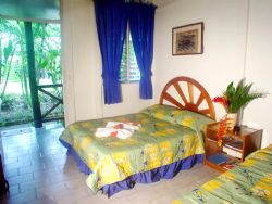 Lodgings for the Green Iguana Surf Camp