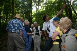 Suspension Bridge Tour with 100% Aventura