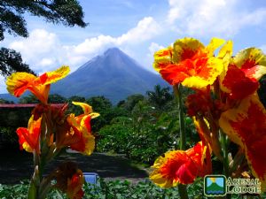 Arenal Lodge
