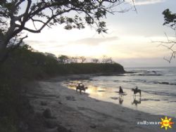 Tamarindo