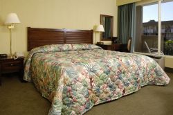 Premier Plus Room - Best Western Irazu