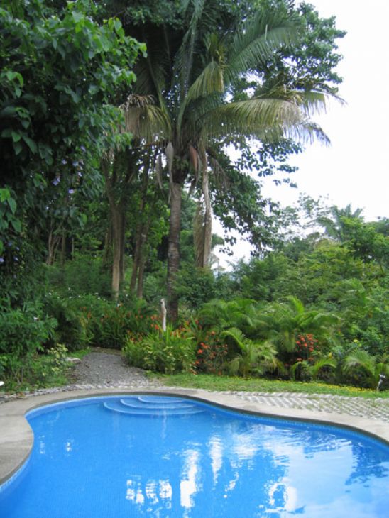 Blue Jay Lodge Pool & Nature