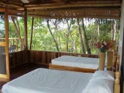Blue Jay Lodge Room