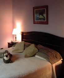 Colours Oasis Resort Room
