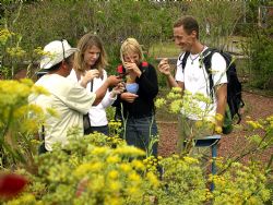 Learning about Medicinal Plants at INBioparque