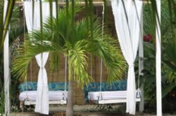 Pool day beds at Hotel The Place