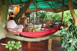 Tree House Living Room at Tree House Lodge