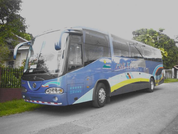 Transportes Tapezco  bus