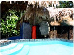 Garden jacuzzi