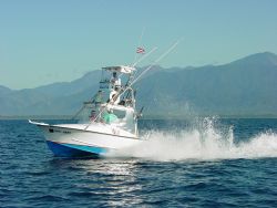 Bluefin Sportfishing Boat