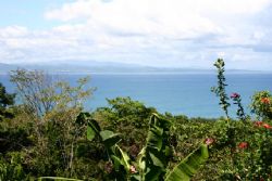View from The Calle Suite at Castillo de Pavones