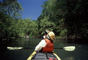 Crystal Seas Kayaking