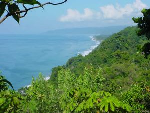 View from El Remanso Rainforest Beach Lodge