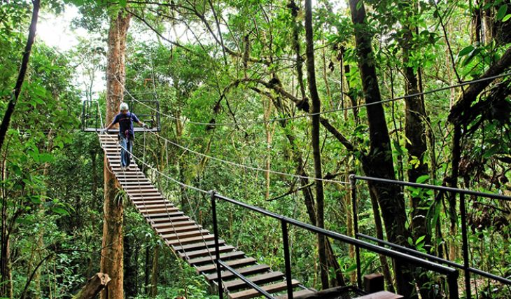 Hanging Bridges of Arenal