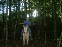 Horseback Riding