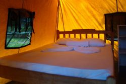 Inside Tent at Corcovado Adventures Tent Camp