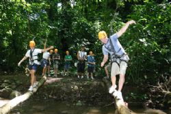 Jungle Adventure Challenge
