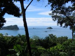 Manuel Antonio