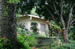 Outside room view
