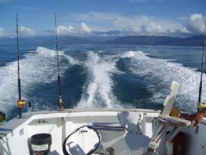 Sportfishing Dominical