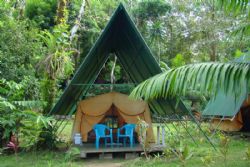 Tents at Corcovado Adventures Tent Camp
