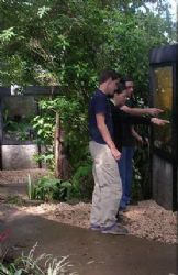 Guided Tour at the Ranario - The Frog Pond