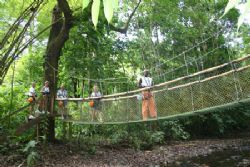 Nature Walk at Waterfalls Canopy Tour