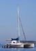 Seabird Sailing