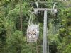 Veragua Rainforest Research & Adventure Park
