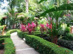 Garden views at Hotel La Palapa Ecolodge Resort