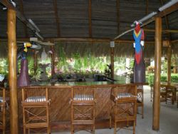 Relax with fresh air at Hotel La Palapa Ecolodge Resort