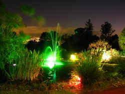 Pond at night