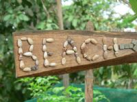 Beach Front Vacation Rentals