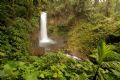 La Paz Waterfall Gardens