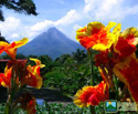 Discover Arenal Volcano