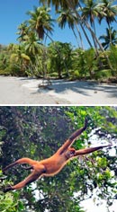 Around Beautiful Costa Rica Tour