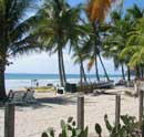 Relax at the Beach