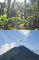 Costa Rica Cloud Forest & Volcano Tour