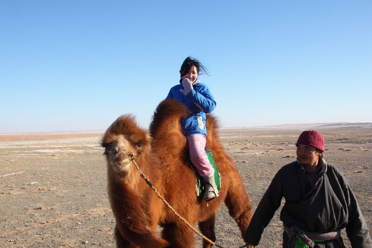 Camel ride in Mongolia