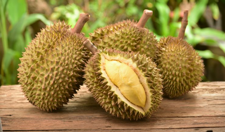 Durian Fruit