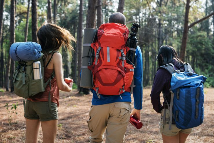 Hikers walking near the rainforest