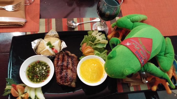 Javi the Frog having a wonderful dinner at Palma Real Hotel