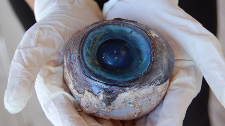 Monsters Eye found on beach