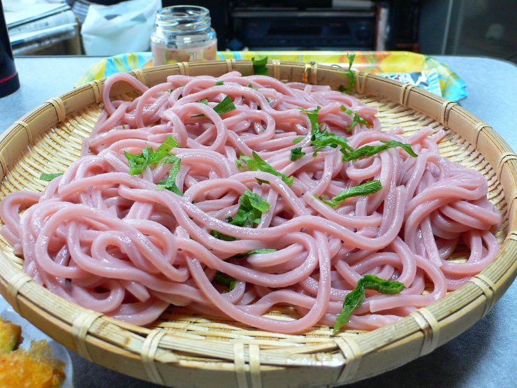 Typical Udon in Japan