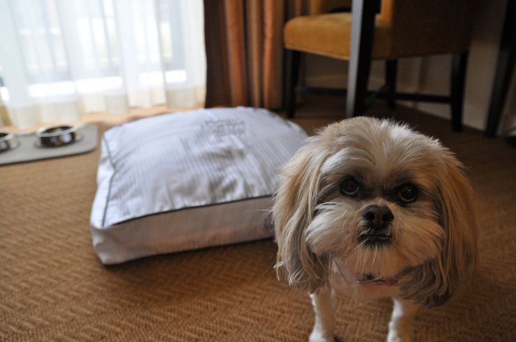 Bed and Food ready at the hotel