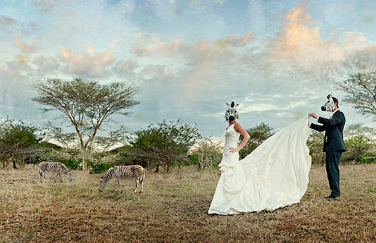 Happy couple getting married in Safari