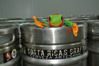 A Beer Lovers Paradise - Costa Rica's Craft Brewing Company