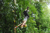 Canopy tours of Poas Volcano, Alajuela