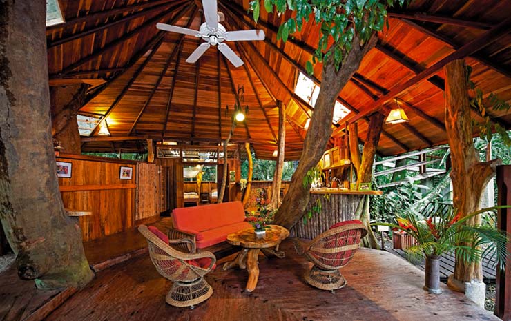 Tree House Lodge - Costa Rica