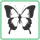Butterfly Farm